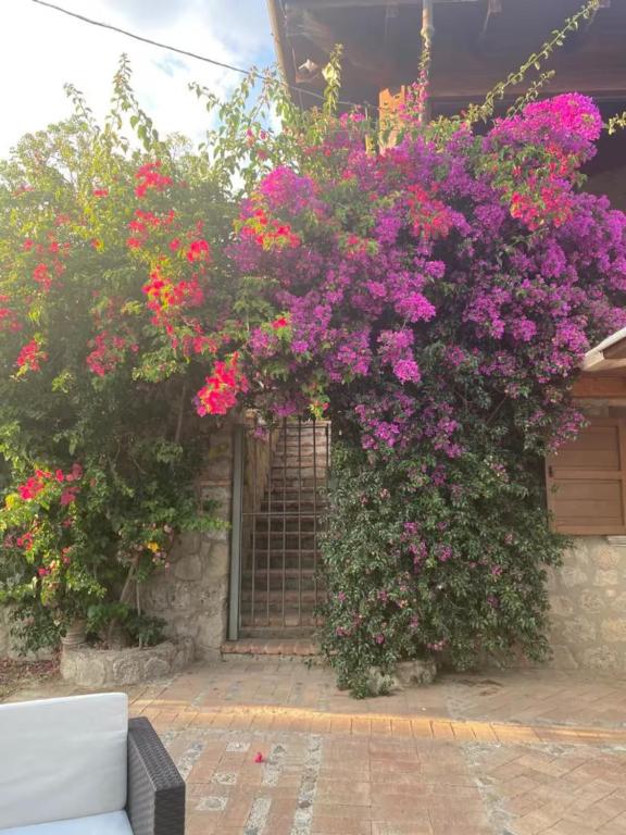 Le Canfore – foto 11